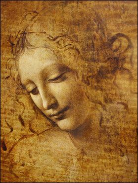 A beautiful drawing by Leonardo